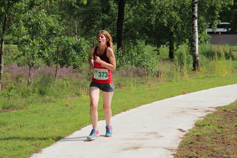 estafette deel 3 - 2017 - 312